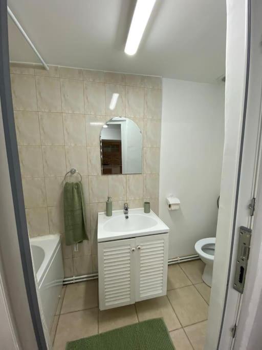 House Apartment In Timişoara Buitenkant foto