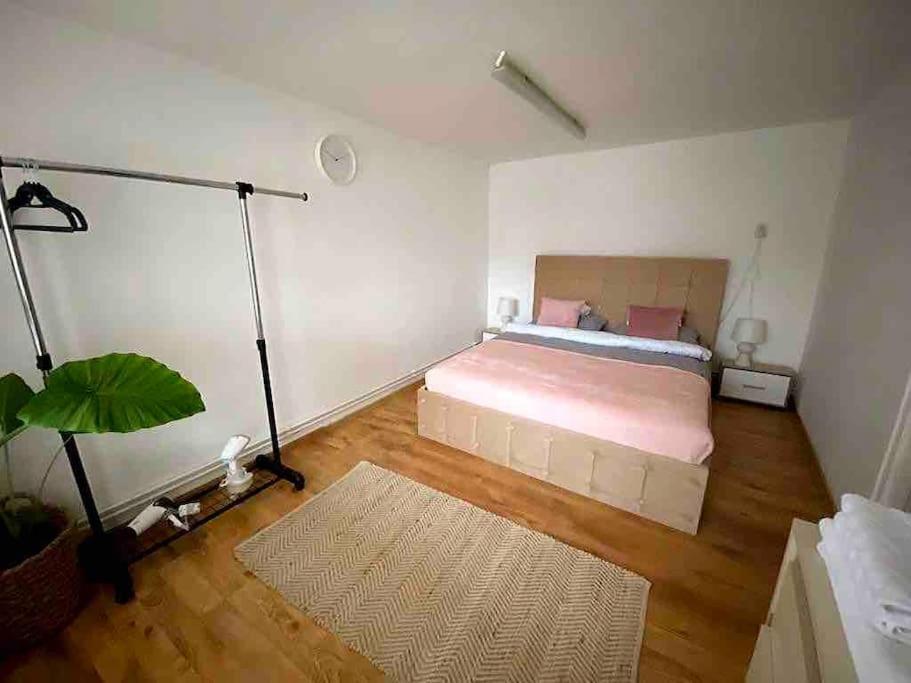 House Apartment In Timişoara Buitenkant foto